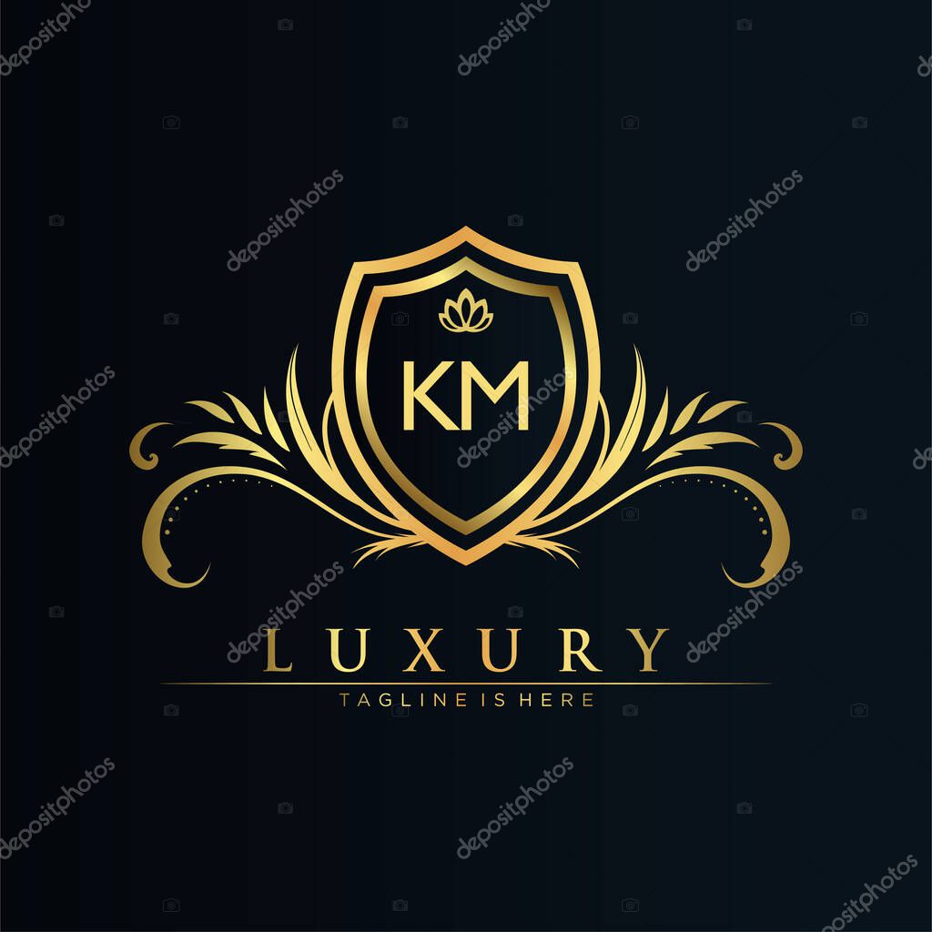 Letter Initial with Royal Template.elegant with crown logo vector, Creative Lettering Logo Vector Illustration.