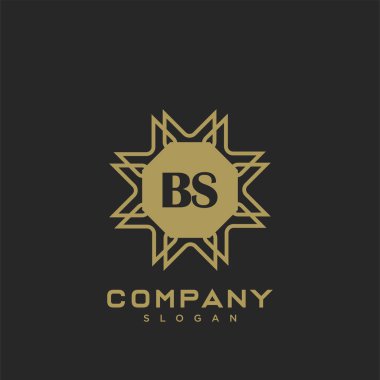 BS Premium monogram harflerinin baş harfleri. Minimalist sembol vektör tasarımı. Lüks logot Şablonu.