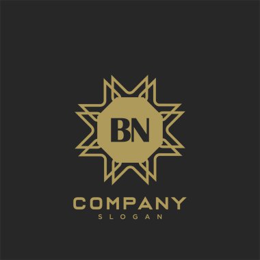 BN Premium harflerinin baş harflerinin logosu. Minimalist sembol vektör tasarımı. Lüks logot Şablonu.