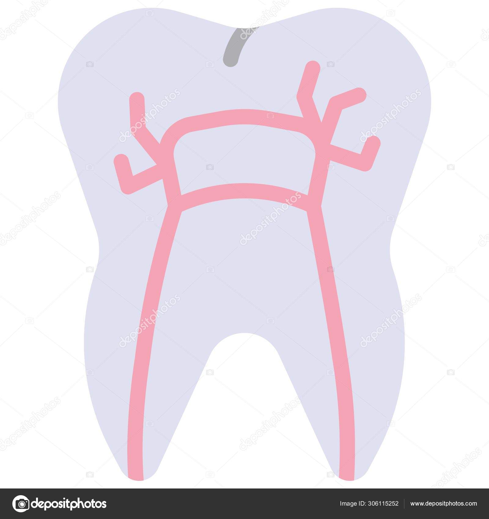Sensibilidad Dentalストックベクター ロイヤリティフリーsensibilidad Dentalイラスト ページ 2 Depositphotos Sensibilidad Dentalストックベクター ロイヤリティフリーsensibilidad Dentalイラスト ページ 2 Depositphotos