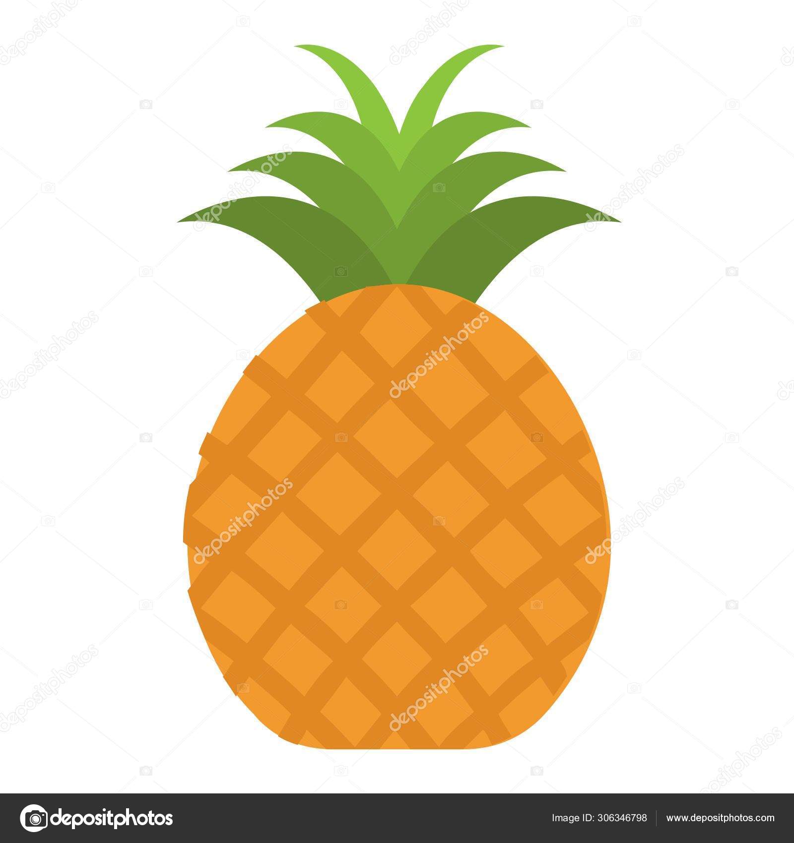 Ananas Comosusストックベクター ロイヤリティフリーananas Comosusイラスト ページ 2 Depositphotos