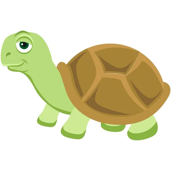 Cute Turtle — Stock Vector © mumut #35157013