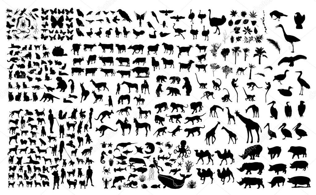 vector set of black silhouettes of Animals, trees and leaves