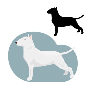 Dekoratif kontur portre profil Bullterrier duran.