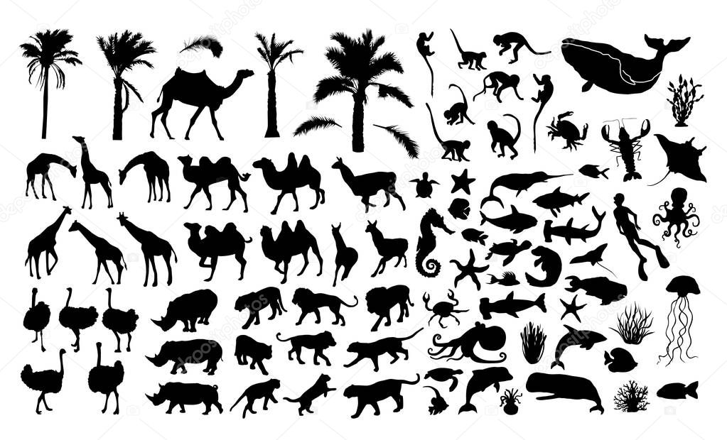 Big animals silhouettes set. Black animal set