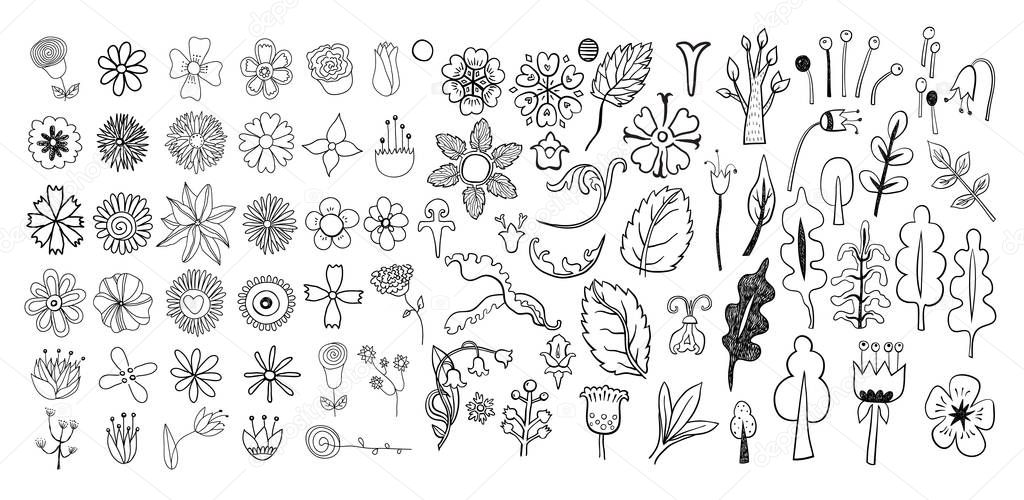 big set of sketches and line doodles isolated flowers, leaves, herbs