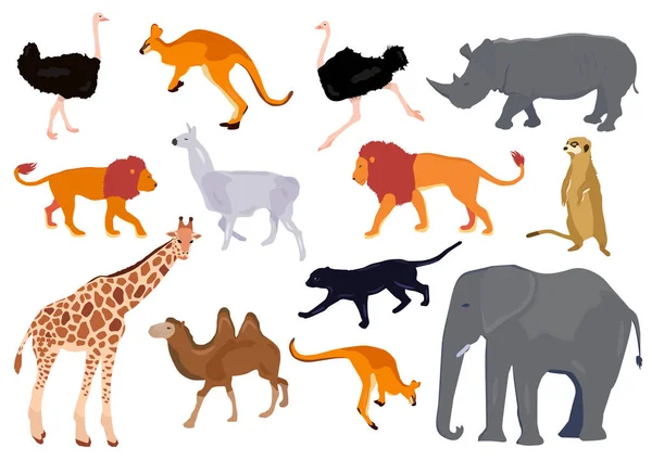 非洲动物装饰设置五颜六色的被隔绝的向量例证 — 图库矢量图片