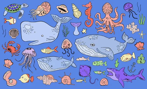 Collection de croquis sur la vie marine. Des animaux marins. Version autocollant — Image vectorielle