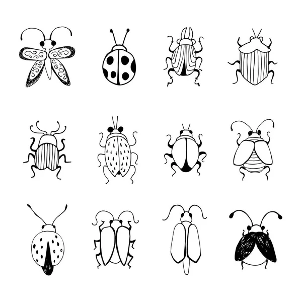 Boceto de insectos dibujado a mano. Diseño para broche decorativo hecho a mano . — Archivo Imágenes Vectoriales