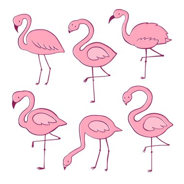 Pembe flamingo vektör karikatür düz ayarlayın. Egzotik tropikal kuş simgeleri koleksiyonu
