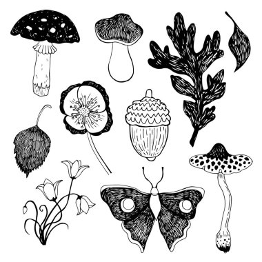 Mantar ve çiçekler çimenlerde. Orman el çizilmiş vektör krokisi.