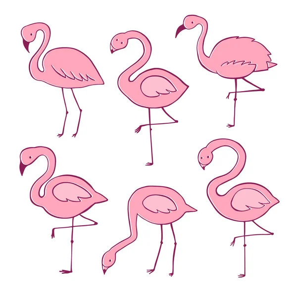 Set piatto del fumetto del vettore fenicottero rosa. Collezione di icone esotiche uccelli tropicali — Vettoriale Stock