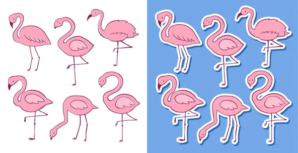 Conjunto plano de desenho animado vetorial flamingo rosa. Coleção de ícones de pássaros tropicais exóticos. Versão colorida e adesiva — Vetor de Stock