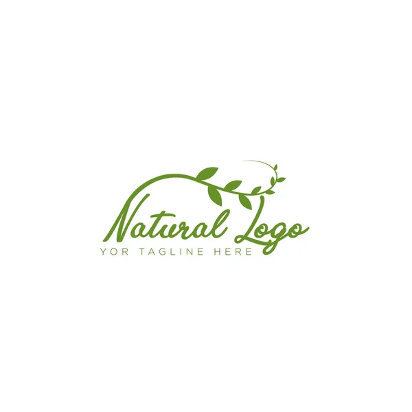 Natuurlijke logo ontwerp met blad moderne stijl typografie belettering logo — Stockvector