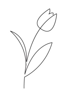 Lale çiçek çizgi sanatı. Minimalist kontur çizimi.