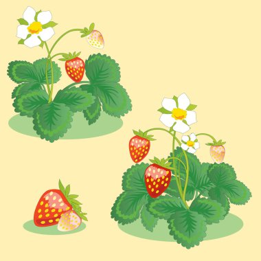 Sarı arkaplan ormanı üzümlü bir çalılıkta çilek. yabanmersini