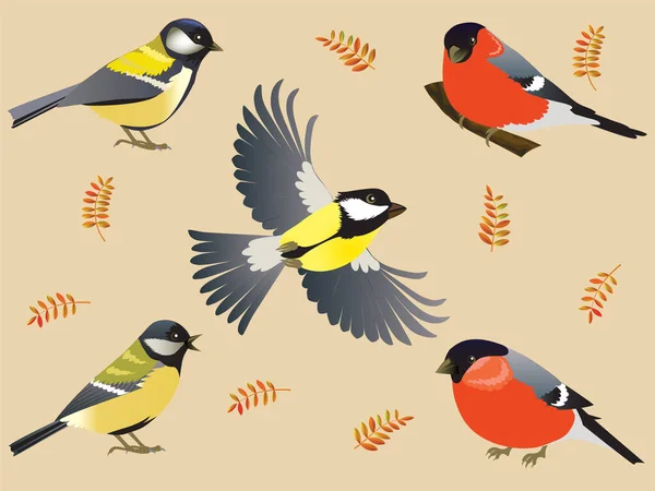 Tit Bullfinch Titmouse Flies Forest Birds City Birds Stok Vektor Bebas Royalti