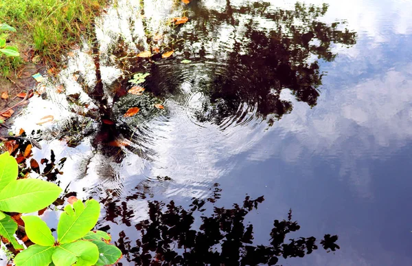 Deslumbramiento Reflexión Sobre Superficie Del Agua —  Fotos de Stock