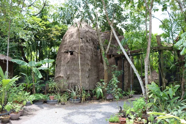 アジアの植物園 ヤシの木 ガーデンアートデザイン バリリーフ — ストック写真