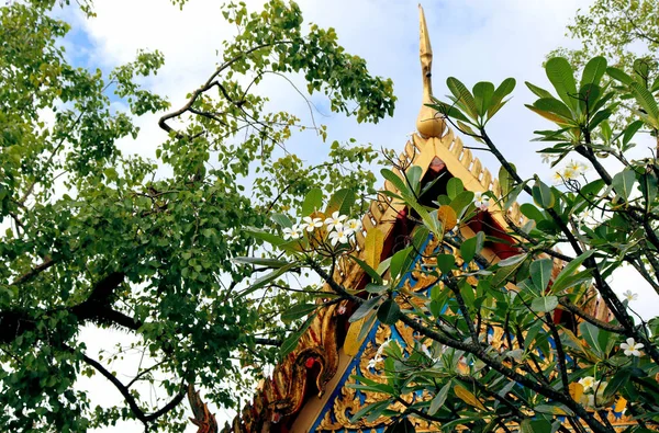 Floflowers Trees Buddhist Chalong Temple Thailand Phuket Islandwers Trees Buddhist — Stock Photo, Image