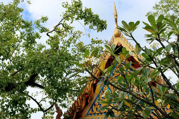 Les Fleurs Les Arbres Temple Bouddhiste Chalong Dans Thailande Sur — Photo