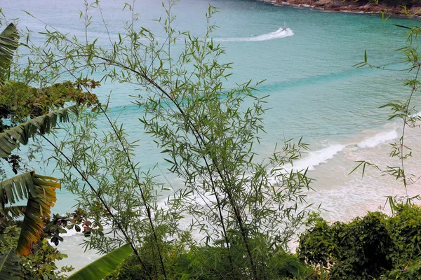 Paisaje Fondo Mar Textura Piedras Agua Hojas Palmeras — Foto de Stock