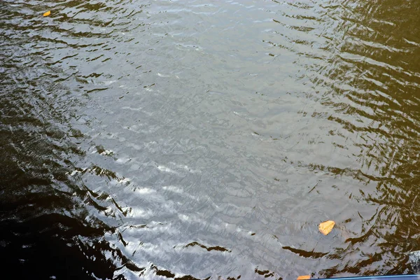 Landschaft Hintergrund Meer Textur Steine Wasser Blätter Palmen Blumen — Stockfoto