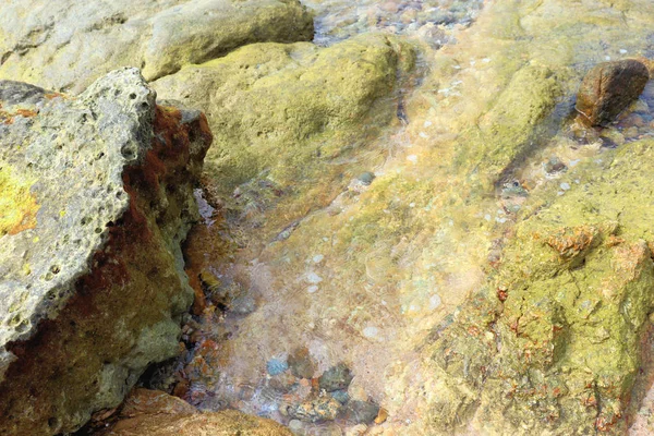 Fundos Vistas Palmeiras Mar Pedras Água Areia Rochas Montanhas — Fotografia de Stock