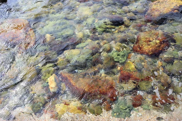 Milieux Vues Palmiers Mer Pierres Dans Eau Sable Rochers Montagnes — Photo