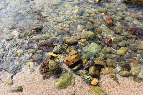 Fundos Vistas Palmeiras Mar Pedras Água Areia Rochas Montanhas — Fotografia de Stock