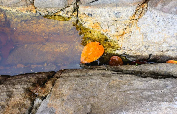 Hintergrund Und Blick Auf Die Küste Felsen Steinstrukturen Sand Und — Stockfoto