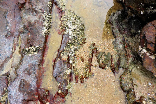 海岸の岩 砂と波の背景とビュー — ストック写真