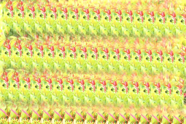 Фон Цветочный Узор Цветной Вид Цветочного Узора Красный Зеленый — стоковое фото