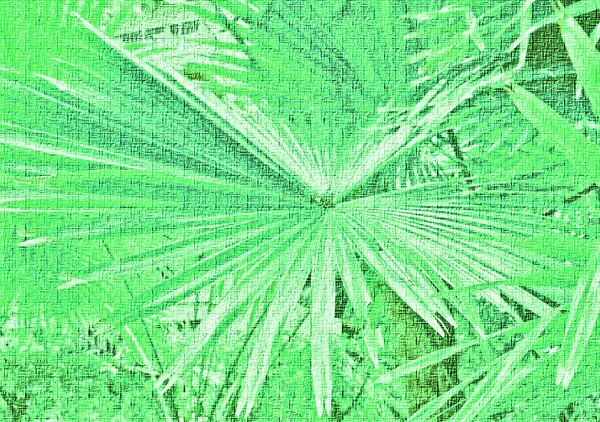 Reliéfní Pozadí Palmové Listy Květin Tropických Rostlin Barevnými Vzory Zblízka — Stock fotografie