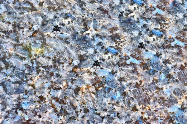 Grau Weißer Marmorhintergrund Mit Farbmustern Hellen Farbtönen Textur Der Steinoberfläche — Stockfoto