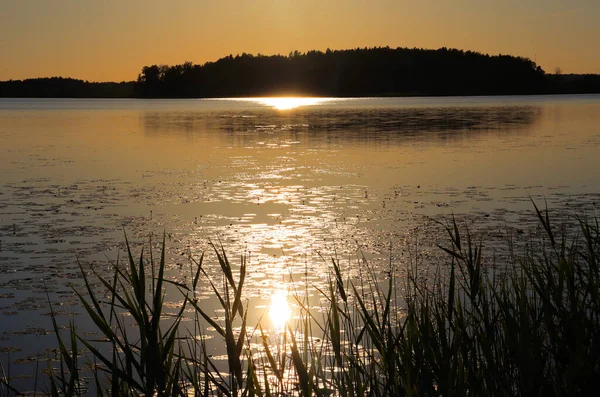 夕阳西下 湖面上 水晶晶 — 图库照片