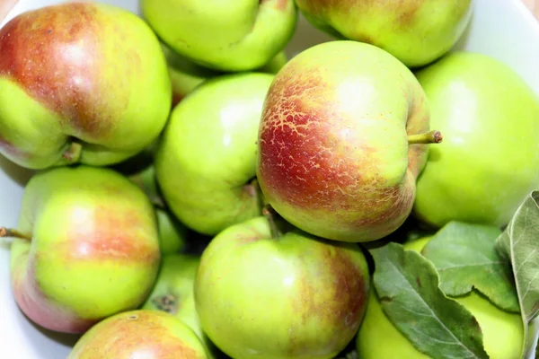 Äpfel Aus Dem Garten Rot Und Grün Einer Weißen Vase — Stockfoto