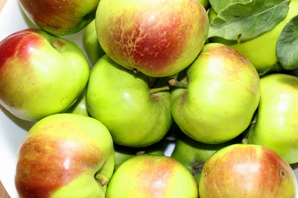 Äpfel Aus Dem Garten Rot Und Grün Einer Weißen Vase — Stockfoto