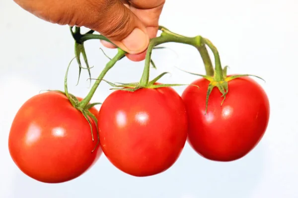 Three Red Tomatoes Golden Peppers Table — Stock Photo, Image