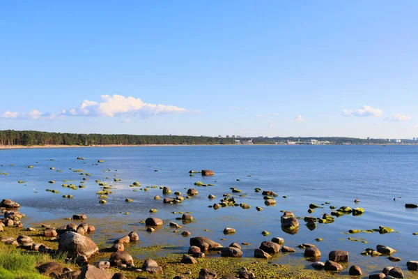 芬兰湾的海岸 水里的石头 一个有船的旧木制码头 — 图库照片