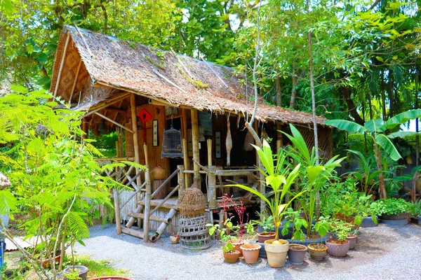 Rain Forest Garden Hut Asia Ththailand Plant Background — стоковое фото
