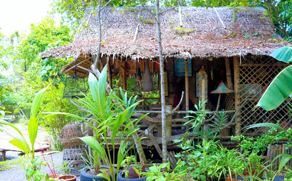 Forêt Tropicale Cabane Jardin Asie Thailand Arrière Plan Végétal — Photo