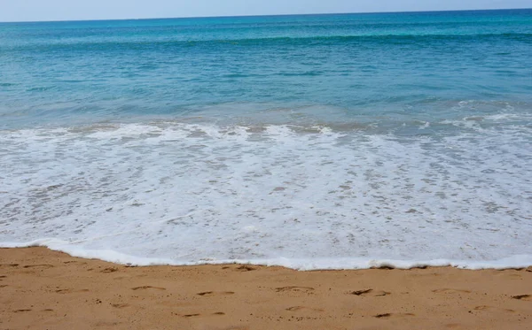 Playa Tropical Con Palmeras Arena Olas Vacaciones Paradisíacas Junto Mar — Foto de Stock