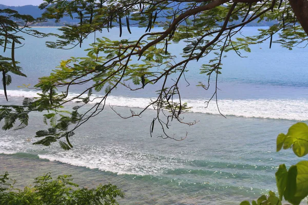 Гарячий Пляж Пальмами Піском Хвилями Райський Відпочинок Біля Моря Кристама — стокове фото