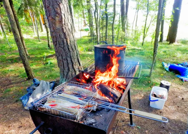 オープン火災で 調理やバーベキューのための森林グリルで夏のキャンプ — ストック写真