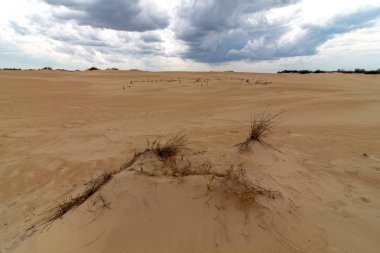 Kum Tepeleri, Jockeys Ridge Kuzey Carolina