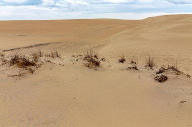 Sandy Dunes, Jockeys Ridge Kuzey Carolina