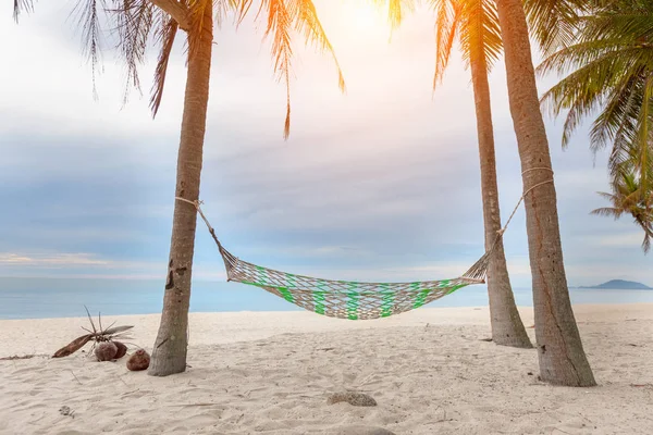 hammock on a palm tree sunset glare of the sun sea ocean sky sho