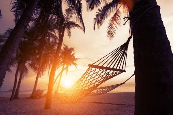 silhouette of hammock at sunset on the beach