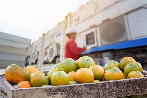 Naranja Distribución de frutas y alimentos, frutas tropicales de Tailandia  . — Foto de Stock